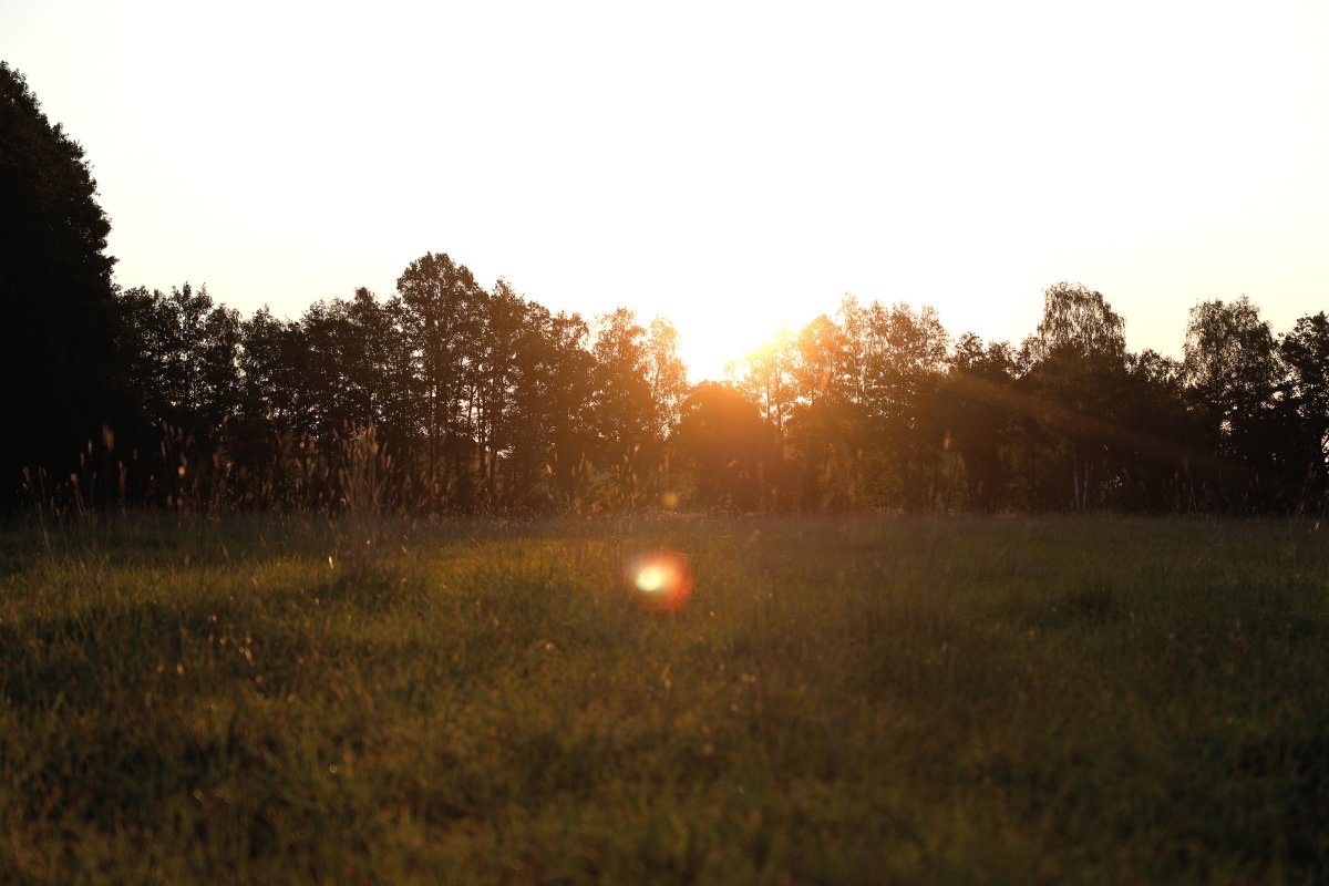 Wiese mit Sonnenuntergang / Copyright: Holger Groß