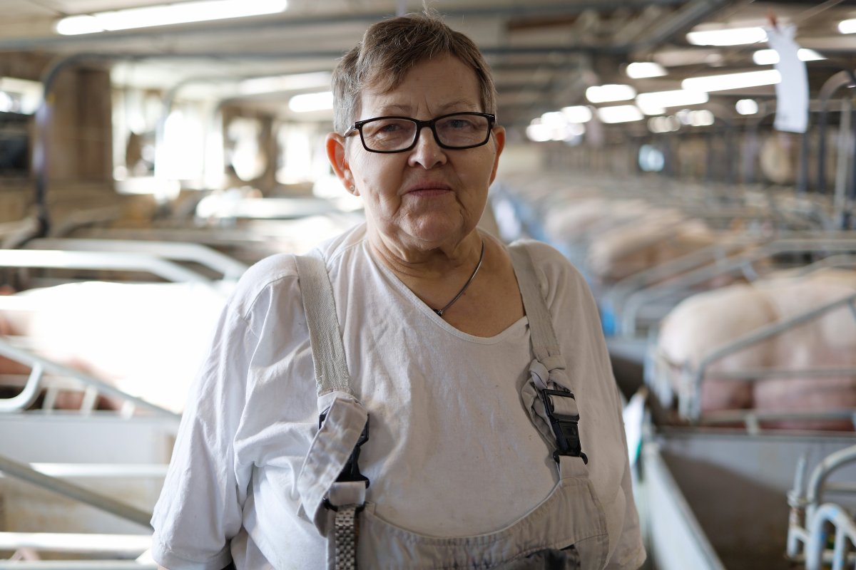 Schweineproduktion / Copyright: Holger Groß