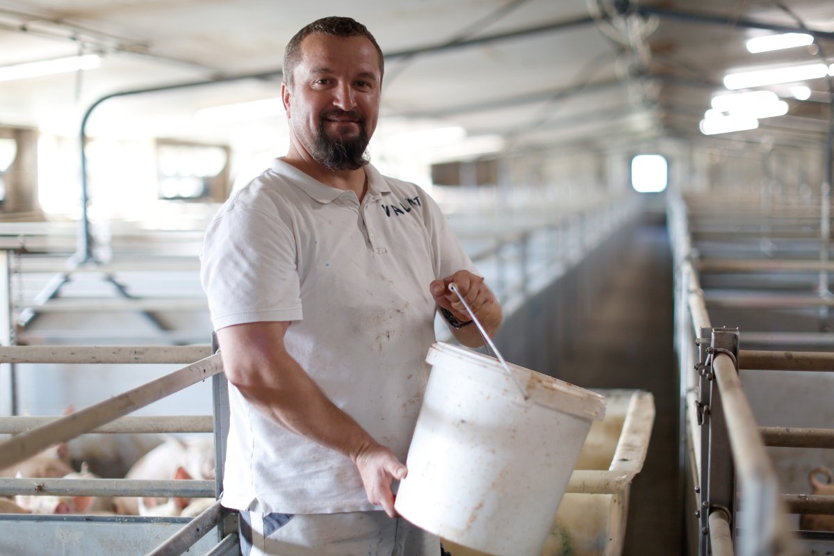 Schweineproduktion / Copyright: Holger Groß