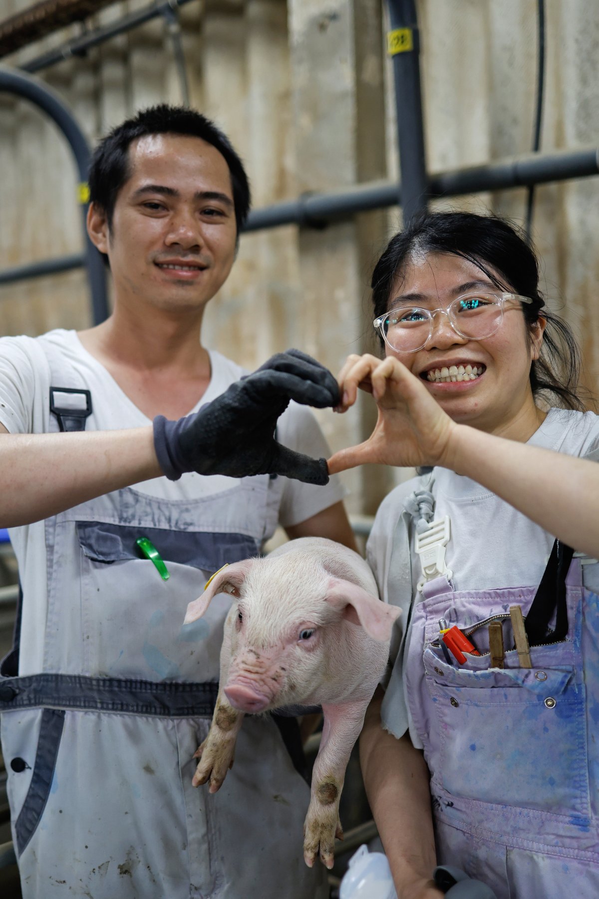 Schweineproduktion / Copyright: Holger Groß