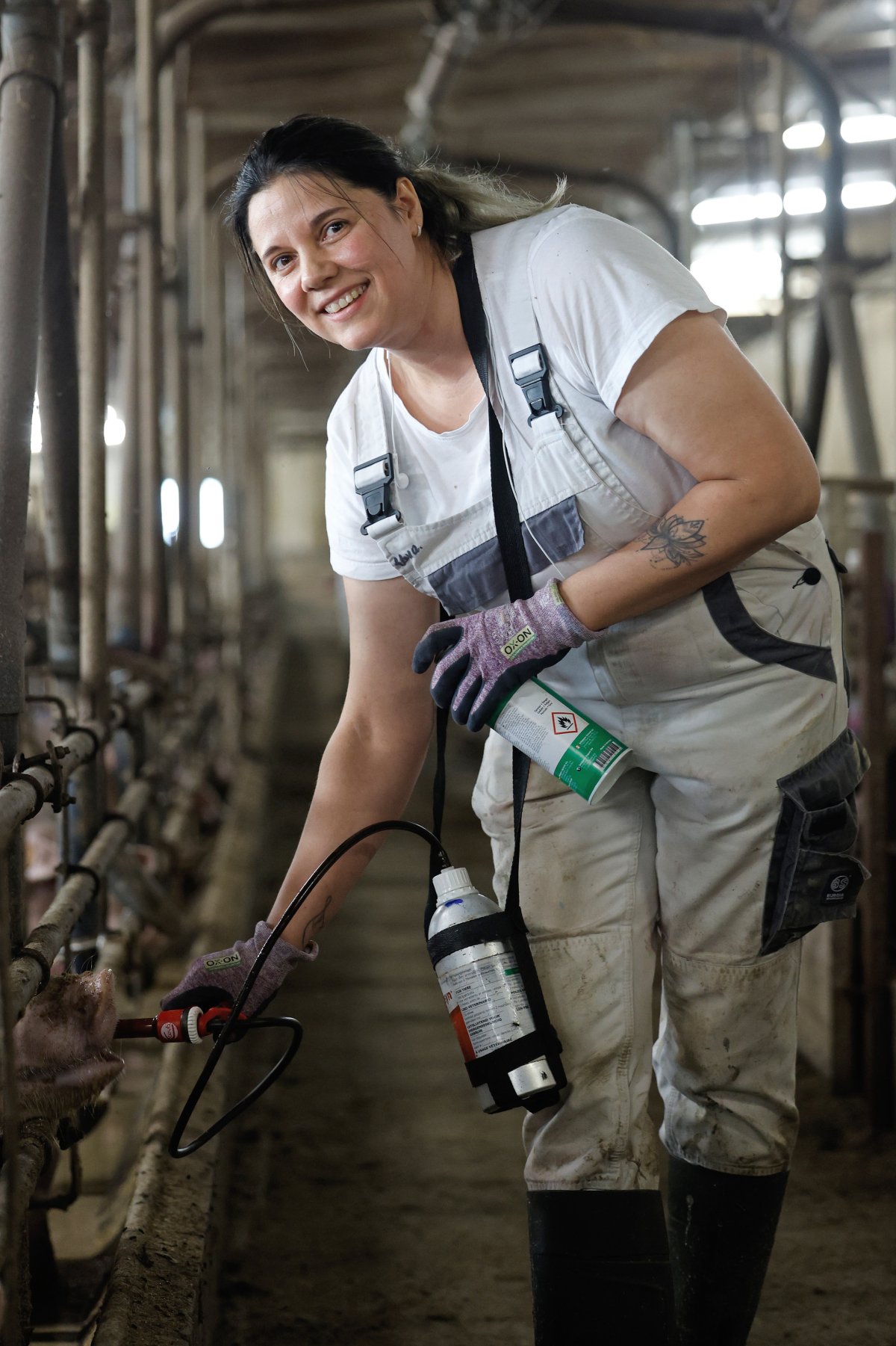 Schweineproduktion / Copyright: Holger Groß