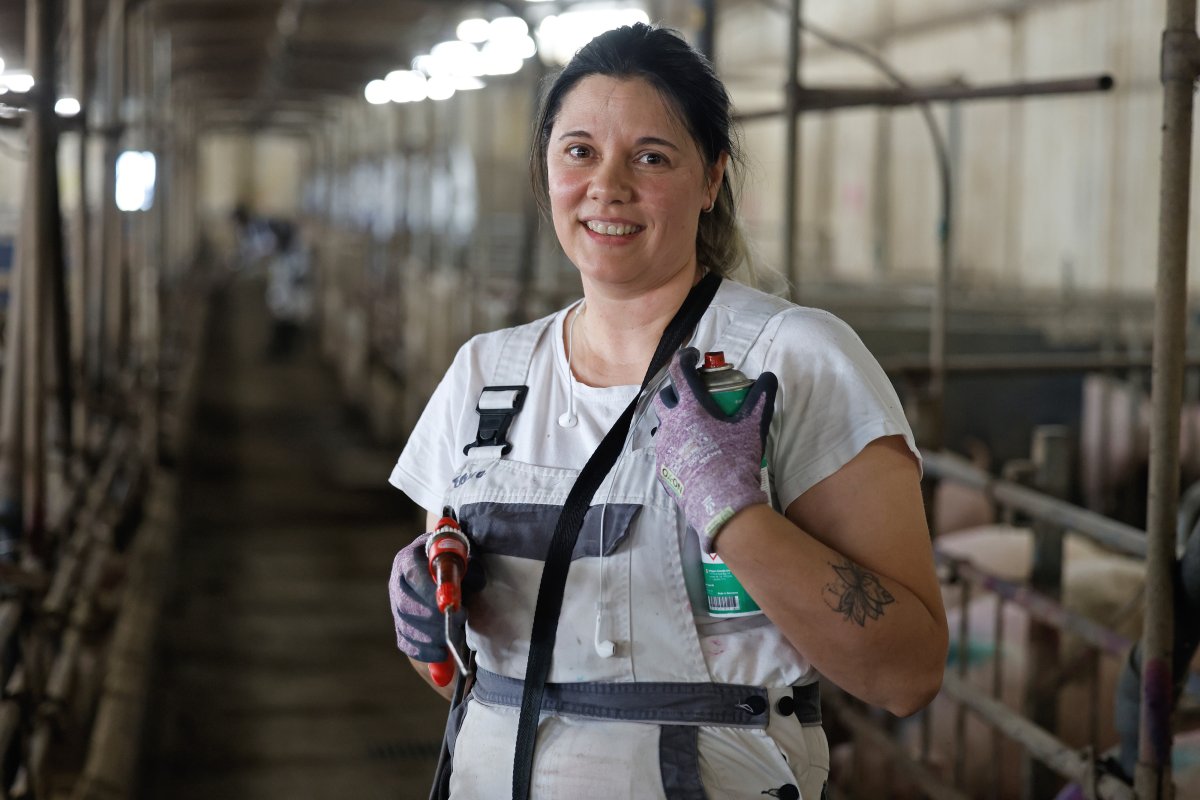 Schweineproduktion / Copyright: Holger Groß