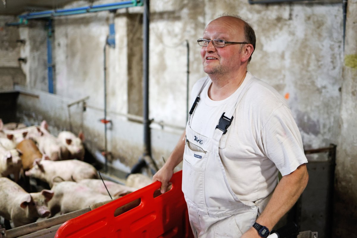 Schweineproduktion / Copyright: Holger Groß